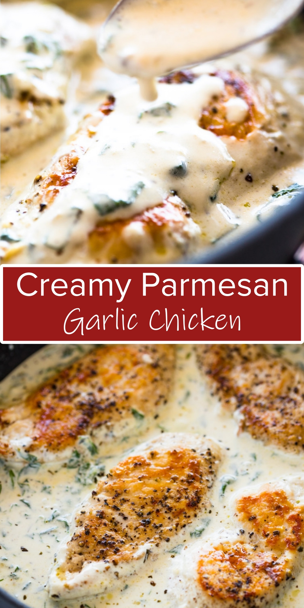 Creamy Parmesan Garlic Chicken Recipe – CUCINADEYUNG