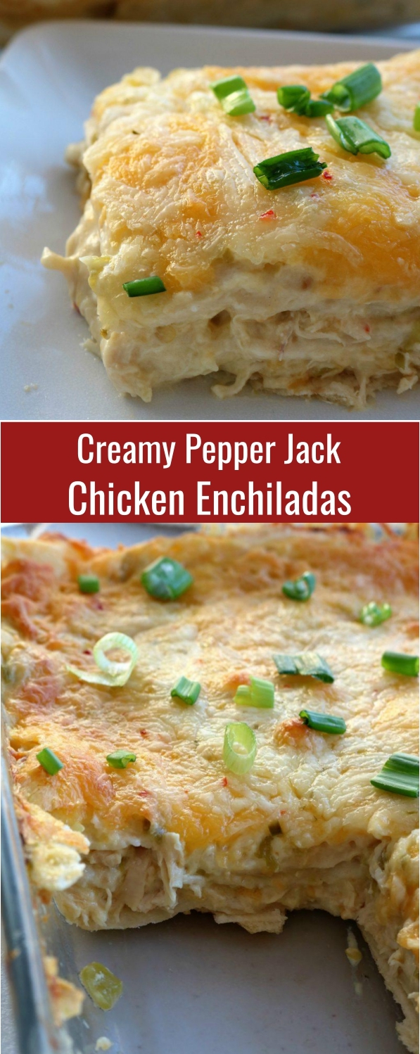 Creamy Pepper Jack Chicken Enchiladas Recipe - CUCINA DE YUNG