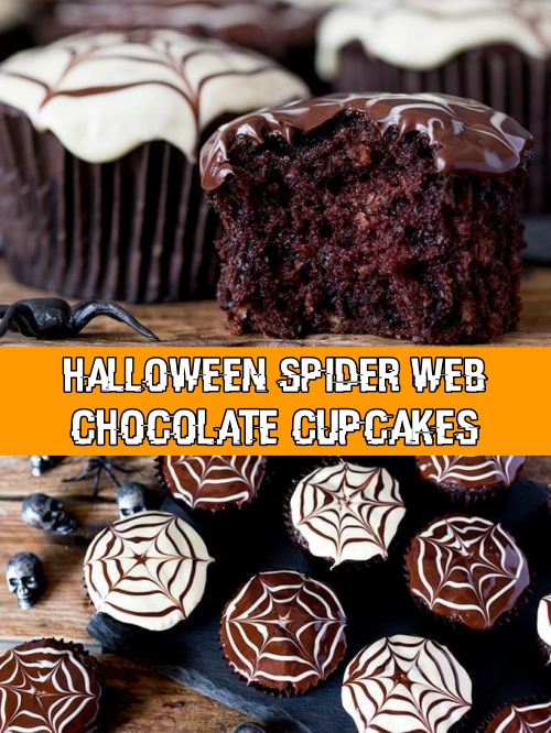 Halloween Spider Web Chocolate Cupcakes Recipe – CUCINADEYUNG